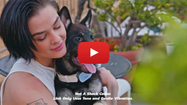 Link Smart Pet Wearable: The Dog Training & Dog Barking Solution